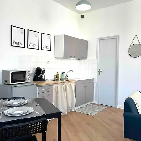 Appartement Le «victor Hugo» , Hyper Centre Vienne (Isere)