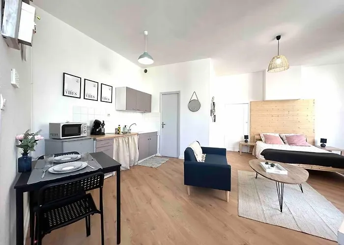 Apartment Le «victor Hugo» , Hyper Centre *