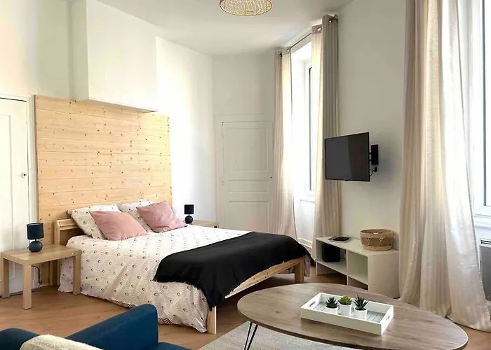 Le «victor Hugo» , Hyper Centre Apartment Vienne (Isere)
