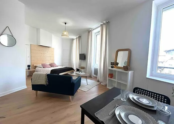 Le «victor Hugo» , Hyper Centre Apartment Vienne (Isere)