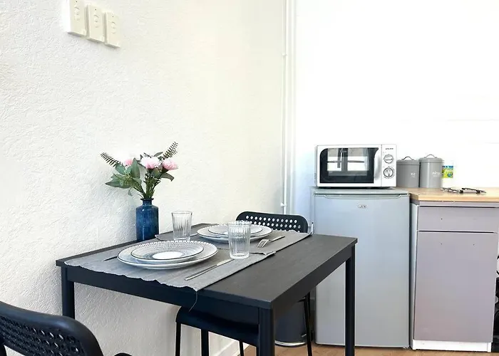 Apartment Le «victor Hugo» , Hyper Centre