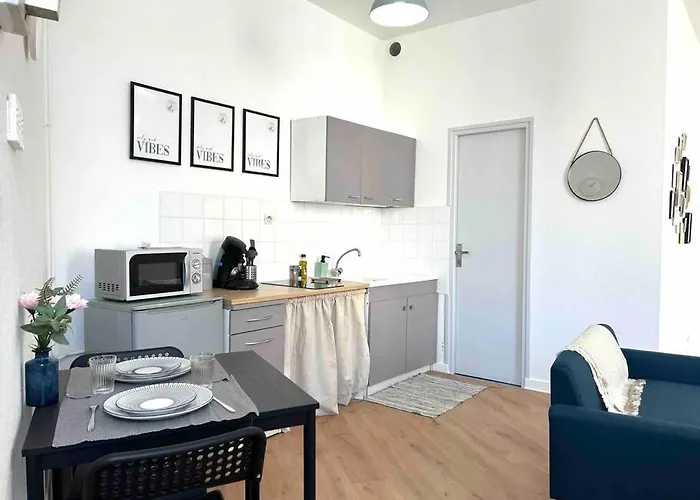 Apartment Le «victor Hugo» , Hyper Centre Vienne (Isere)