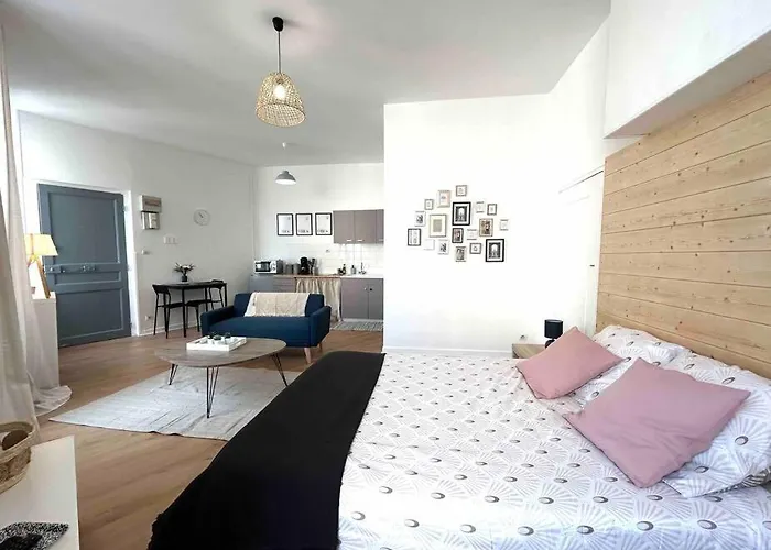 Le «victor Hugo» , Hyper Centre Apartment Vienne (Isere)