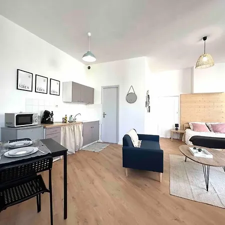 Apartment Le «victor Hugo» , Hyper Centre *