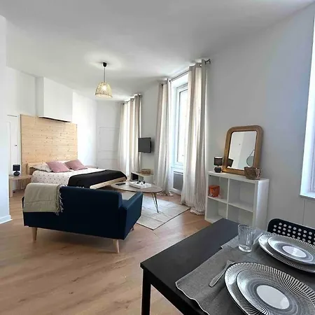 Le «victor Hugo» , Hyper Centre Apartment Vienne (Isere)