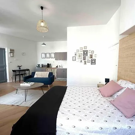 Le «victor Hugo» , Hyper Centre Apartment Vienne (Isere)